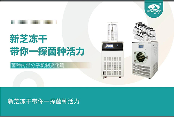 凍干機探尋菌種內(nèi)部分子機制變化